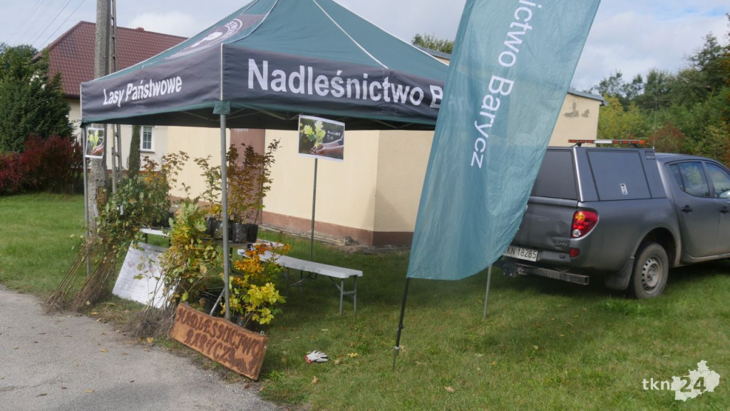#sadziMy. Darmowe drzewka w naszych nadleśnictwach [zdjęcia]