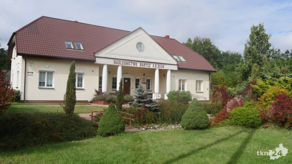 #sadziMy. Darmowe drzewka w naszych nadleśnictwach [zdjęcia]