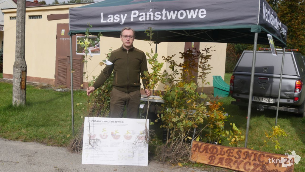 #sadziMy. Darmowe drzewka w naszych nadleśnictwach [zdjęcia]
