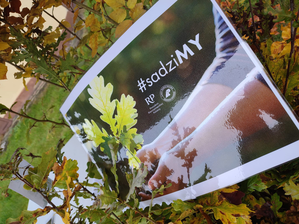 #sadziMy. Darmowe drzewka w naszych nadleśnictwach [zdjęcia]