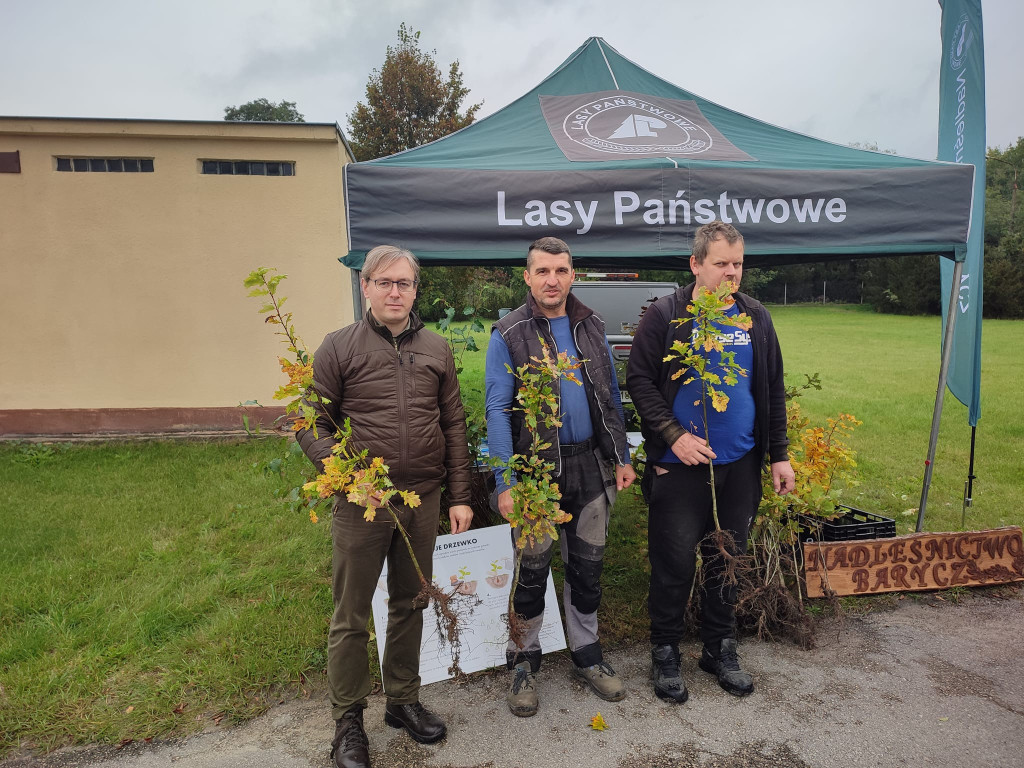 #sadziMy. Darmowe drzewka w naszych nadleśnictwach [zdjęcia]