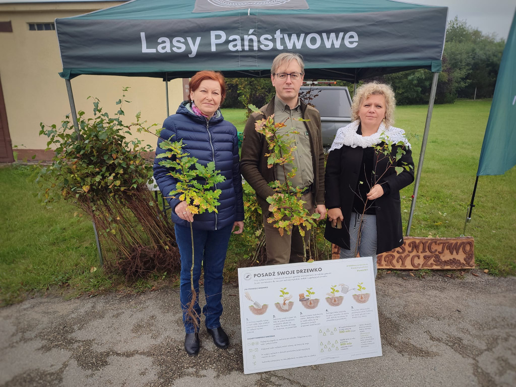 #sadziMy. Darmowe drzewka w naszych nadleśnictwach [zdjęcia]