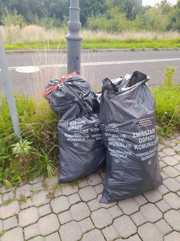 Ekonomik włączył się do Akcji Sprzątania Świata [wideo, zdjęcia]