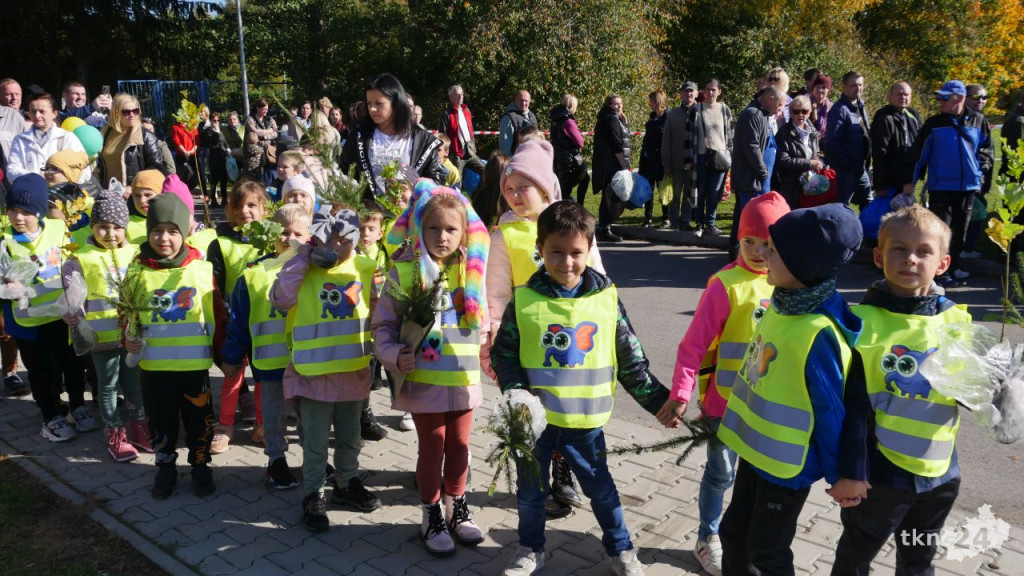 Cztery tysiące roślin dla konecczan. Za nami `Drzewko za surowce` [wideo, zdjęcia]