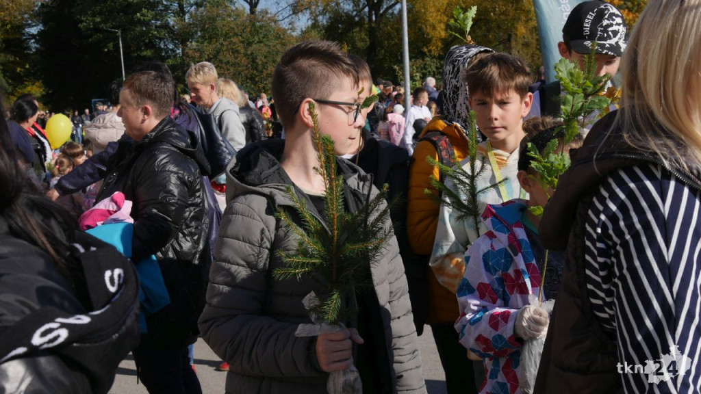Cztery tysiące roślin dla konecczan. Za nami `Drzewko za surowce` [wideo, zdjęcia]