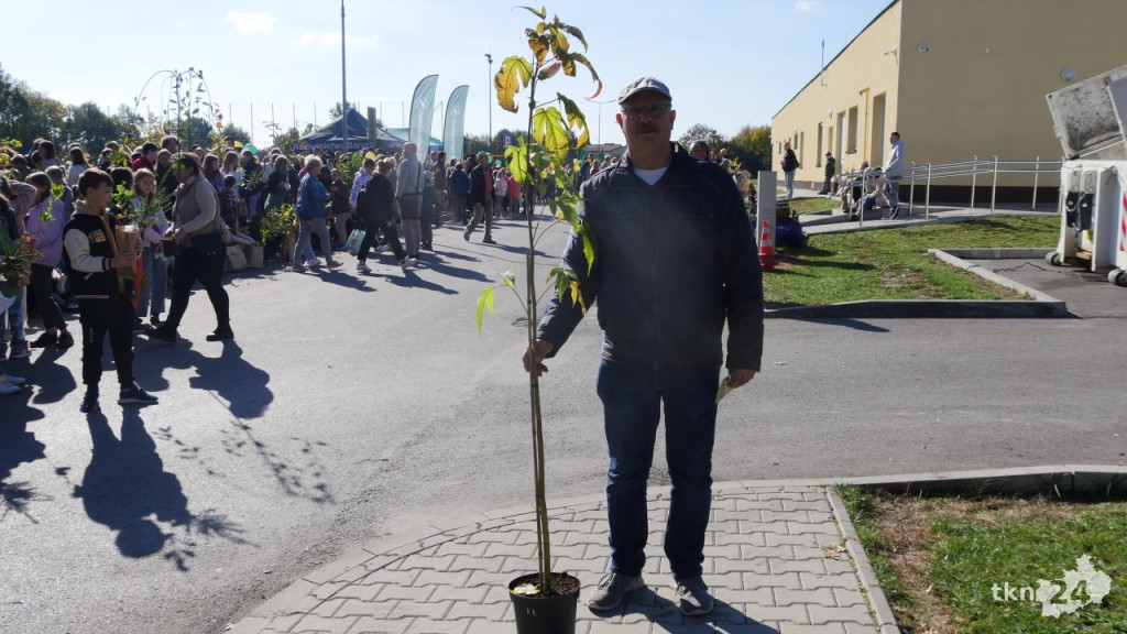 Cztery tysiące roślin dla konecczan. Za nami `Drzewko za surowce` [wideo, zdjęcia]