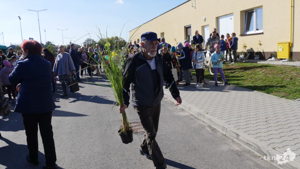Cztery tysiące roślin dla konecczan. Za nami `Drzewko za surowce` [wideo, zdjęcia]