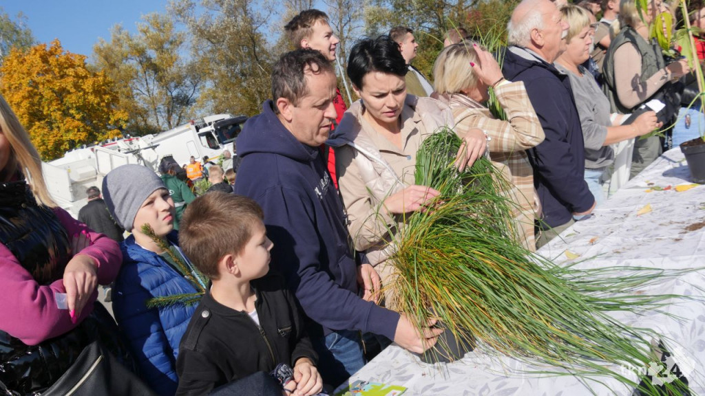 Cztery tysiące roślin dla konecczan. Za nami `Drzewko za surowce` [wideo, zdjęcia]