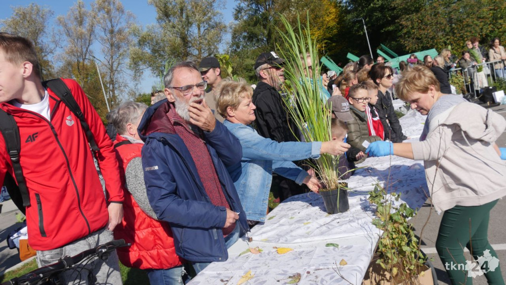 Cztery tysiące roślin dla konecczan. Za nami `Drzewko za surowce` [wideo, zdjęcia]
