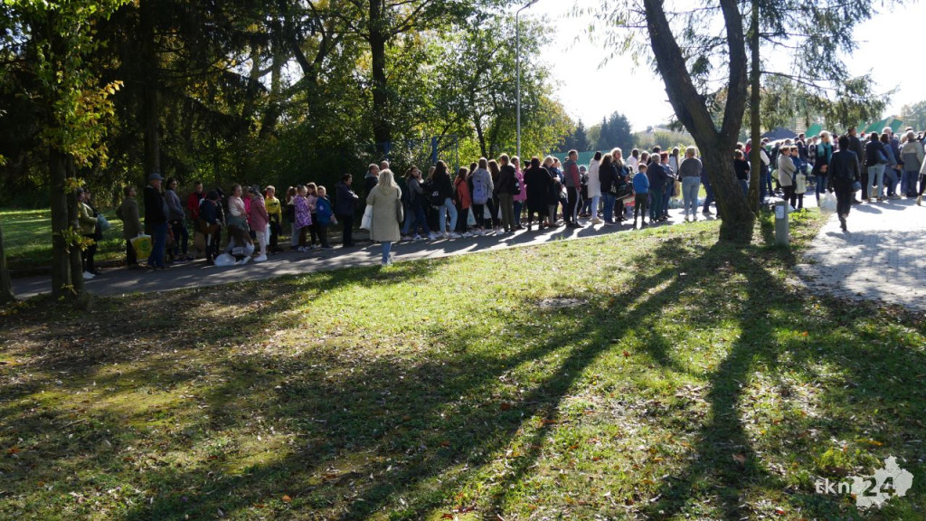 Cztery tysiące roślin dla konecczan. Za nami `Drzewko za surowce` [wideo, zdjęcia]