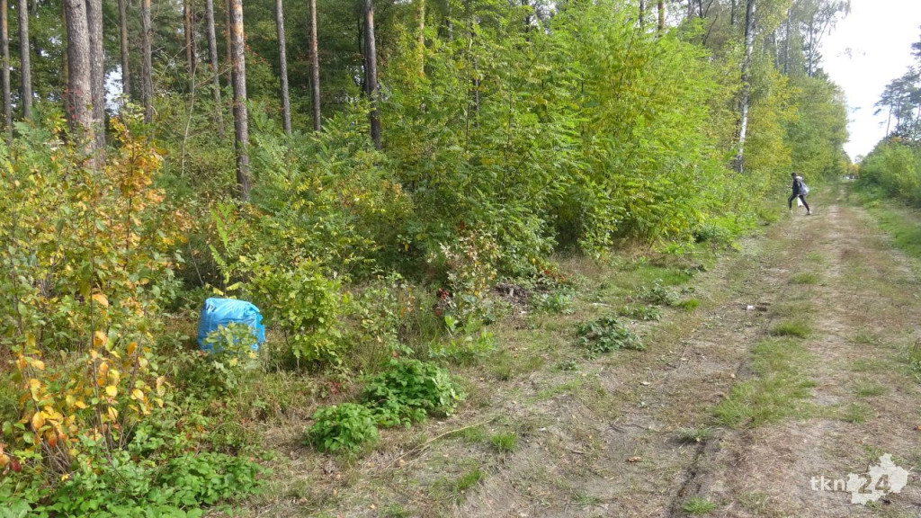 Uczniowie, seniorzy i Nadleśnictwo Barycz sprzątali las Karolinów [wideo, zdjęcia]