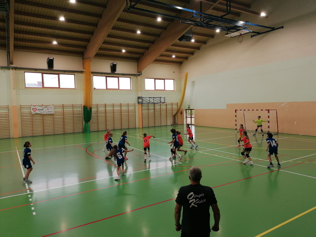 Stadnicka Wola najlepsza w turnieju piłki ręcznej dziewcząt [zdjęcia]