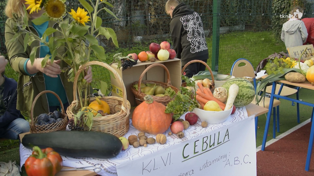 Celebrowali ziemniaka. Niezwykłe święto w Czermnie [wideo, zdjęcia]