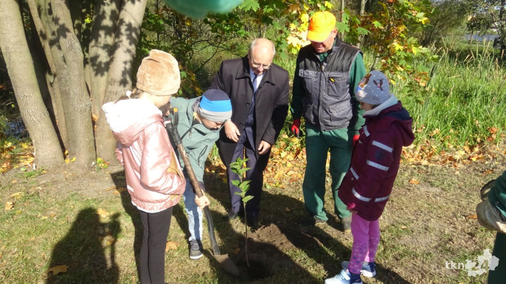 Dzieci karmiły metalową rybę zakrętkami i sadziły wonne krzewy [wideo, zdjęcia]
