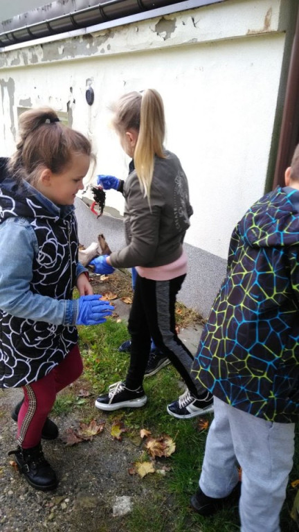 Uczniowie szkół podstawowych z Pilczycy i Wólki sprzątali swoją gminę [zdjęcia]