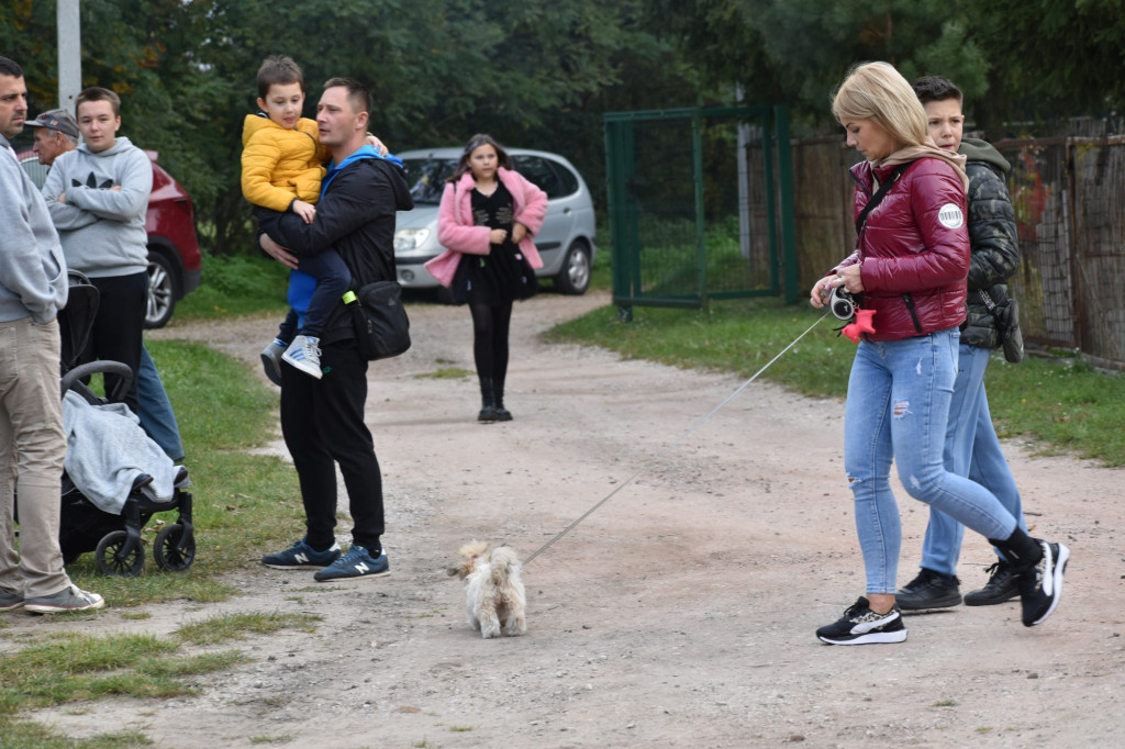 Dzień Pieczonego Ziemniaka w Kornicy [fotorelacja]