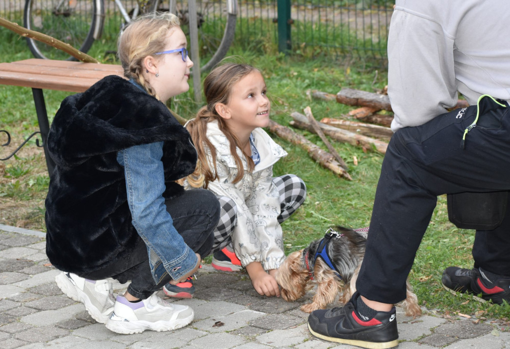 Dzień Pieczonego Ziemniaka w Kornicy [fotorelacja]