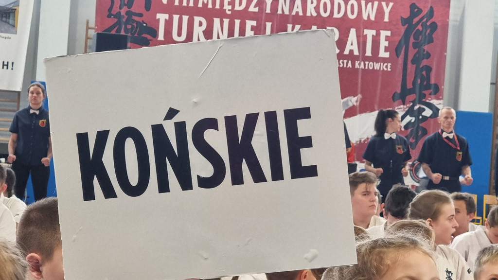 Znakomity występ koneckich karateków na Katowice Cup [zdjęcia]