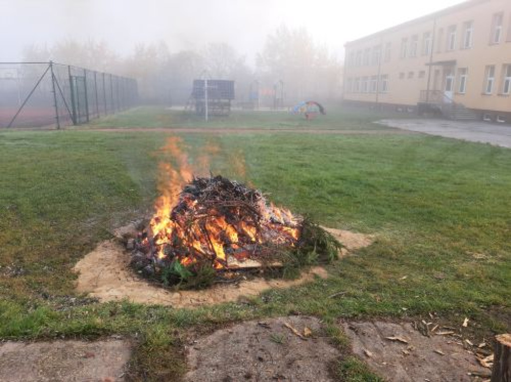 Tradycja pieczenia ziemniaka w Kłucku ciągle żywa [zdjęcia]