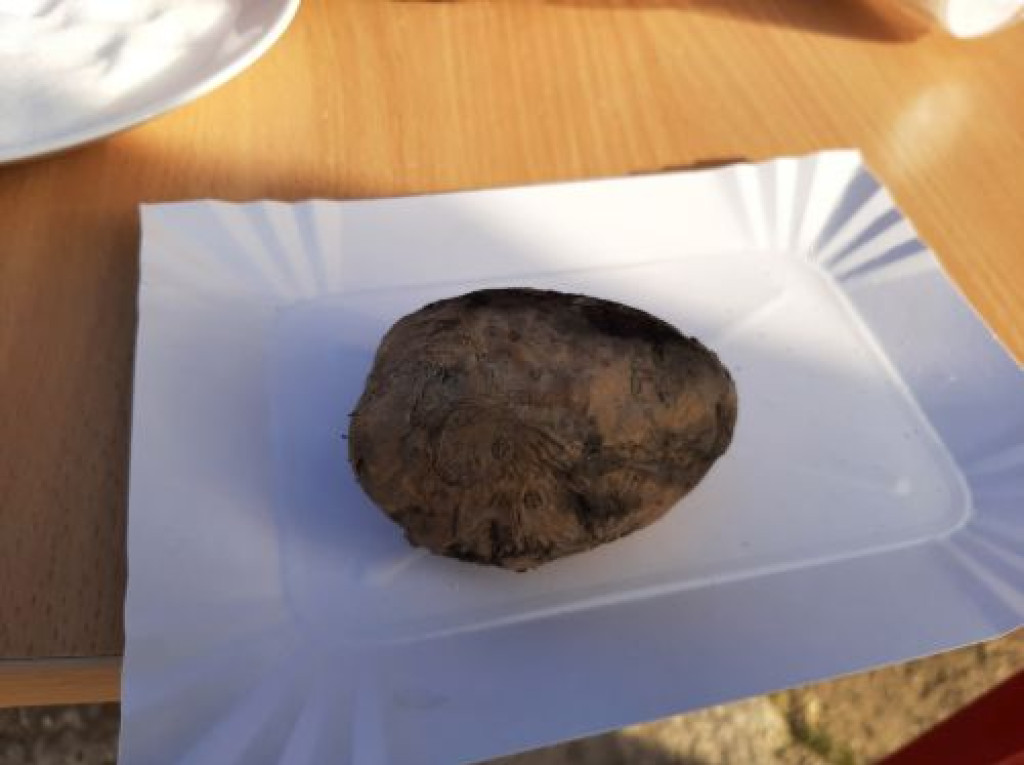 Tradycja pieczenia ziemniaka w Kłucku ciągle żywa [zdjęcia]