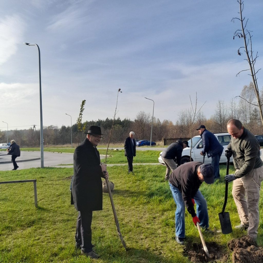 Zasadzili kolejne miododajne drzewa i krzewy [zdjęcia]