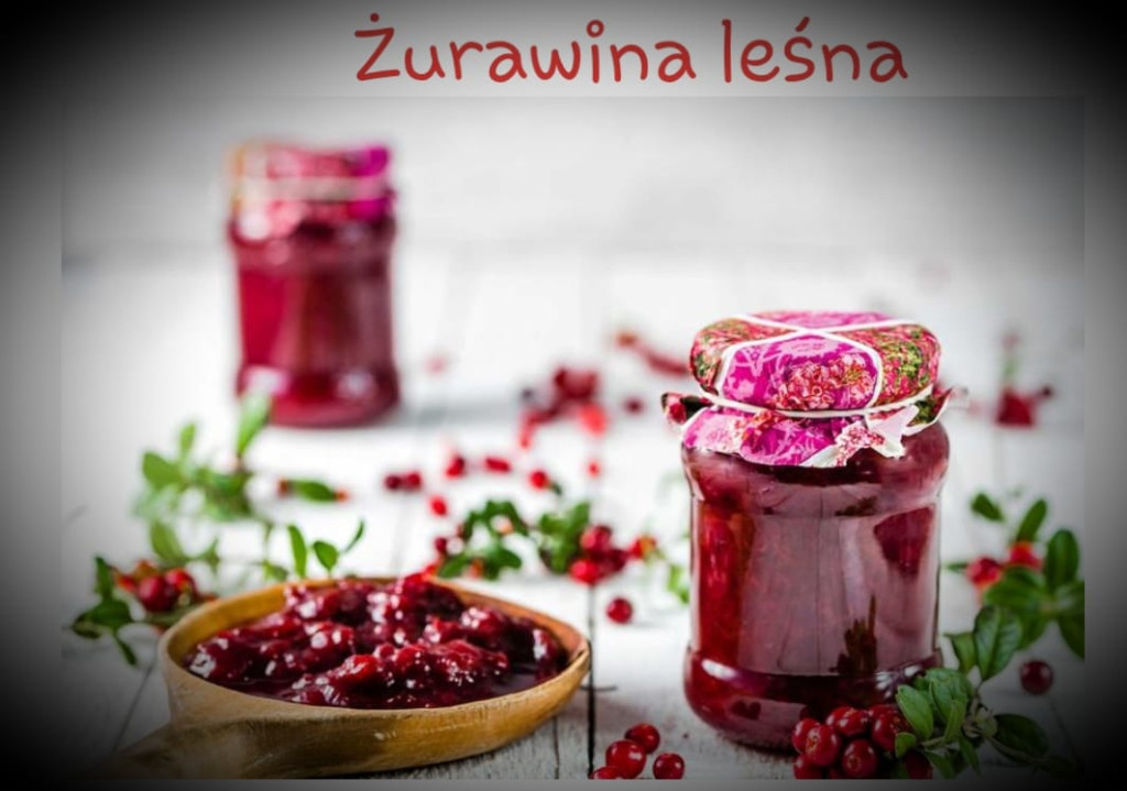 W niedzielę kiermasz w Fałkowie. Dochód dla Bruna