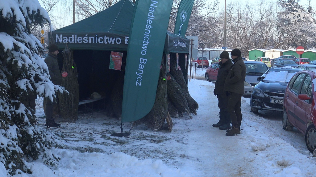 Choinki od leśników dla krwiodawców! [wideo, zdjęcia]