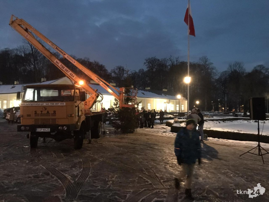 Przyjaciele postawili symboliczną choinkę dla Bruna pod UMiG Końskie [zdjęcia]