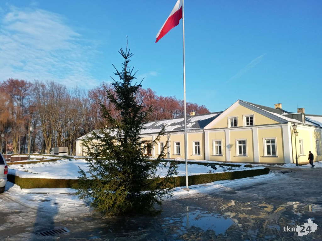 Przyjaciele postawili symboliczną choinkę dla Bruna pod UMiG Końskie [zdjęcia]