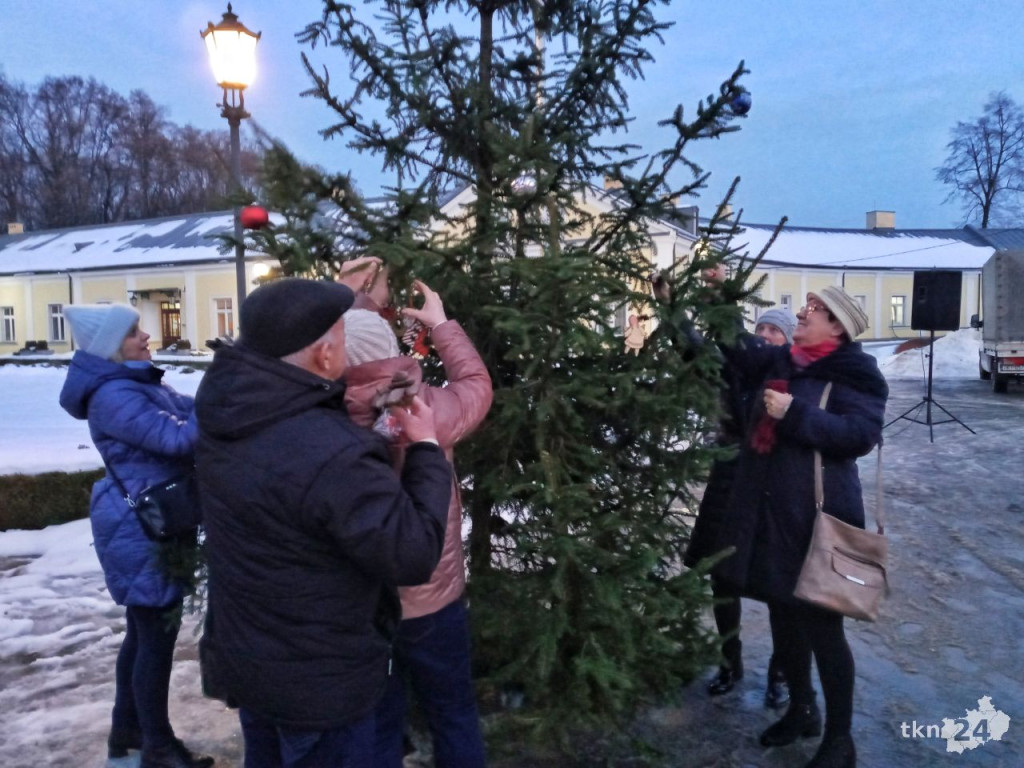 Przyjaciele postawili symboliczną choinkę dla Bruna pod UMiG Końskie [zdjęcia]