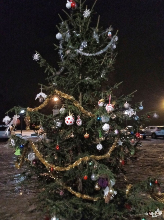 Przyjaciele postawili symboliczną choinkę dla Bruna pod UMiG Końskie [zdjęcia]