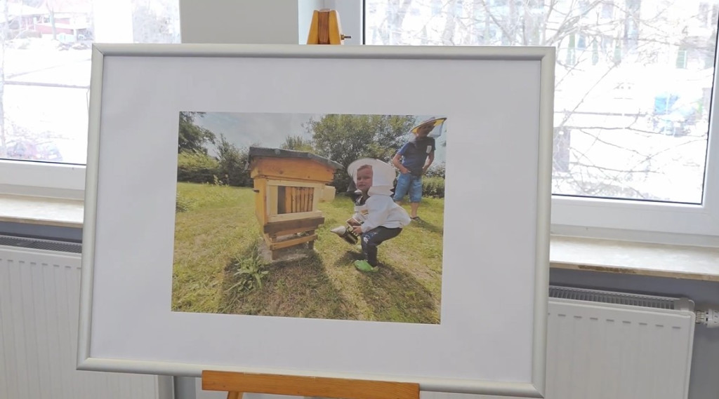 Pasieka w obiektywie. Rozstrzygnięto fotograficzny konkurs [wideo, zdjęcia]