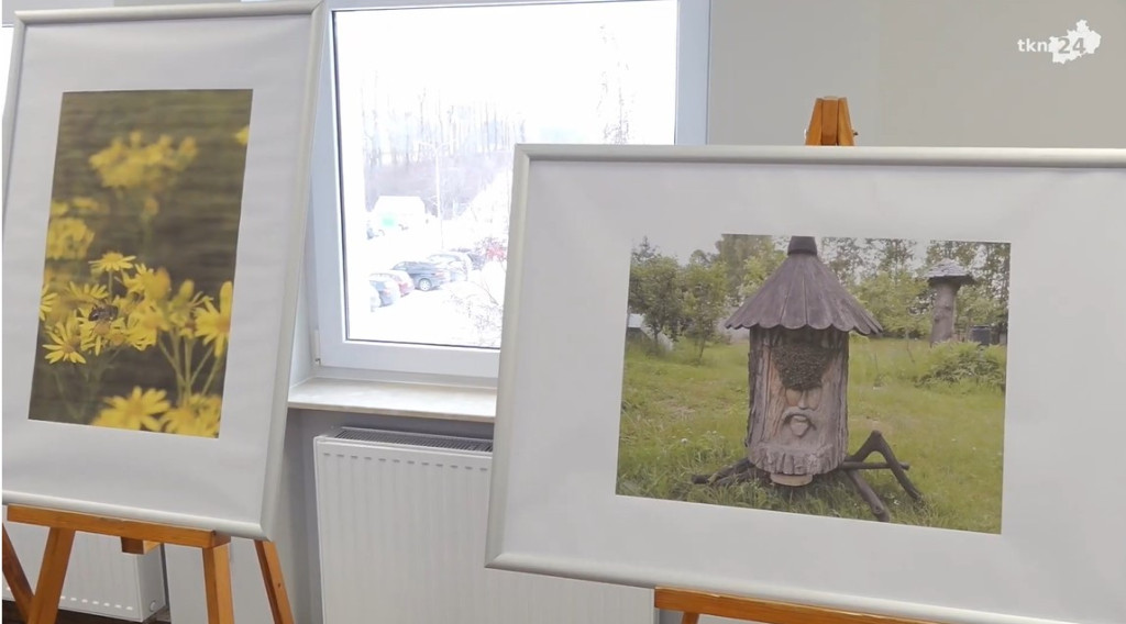 Pasieka w obiektywie. Rozstrzygnięto fotograficzny konkurs [wideo, zdjęcia]