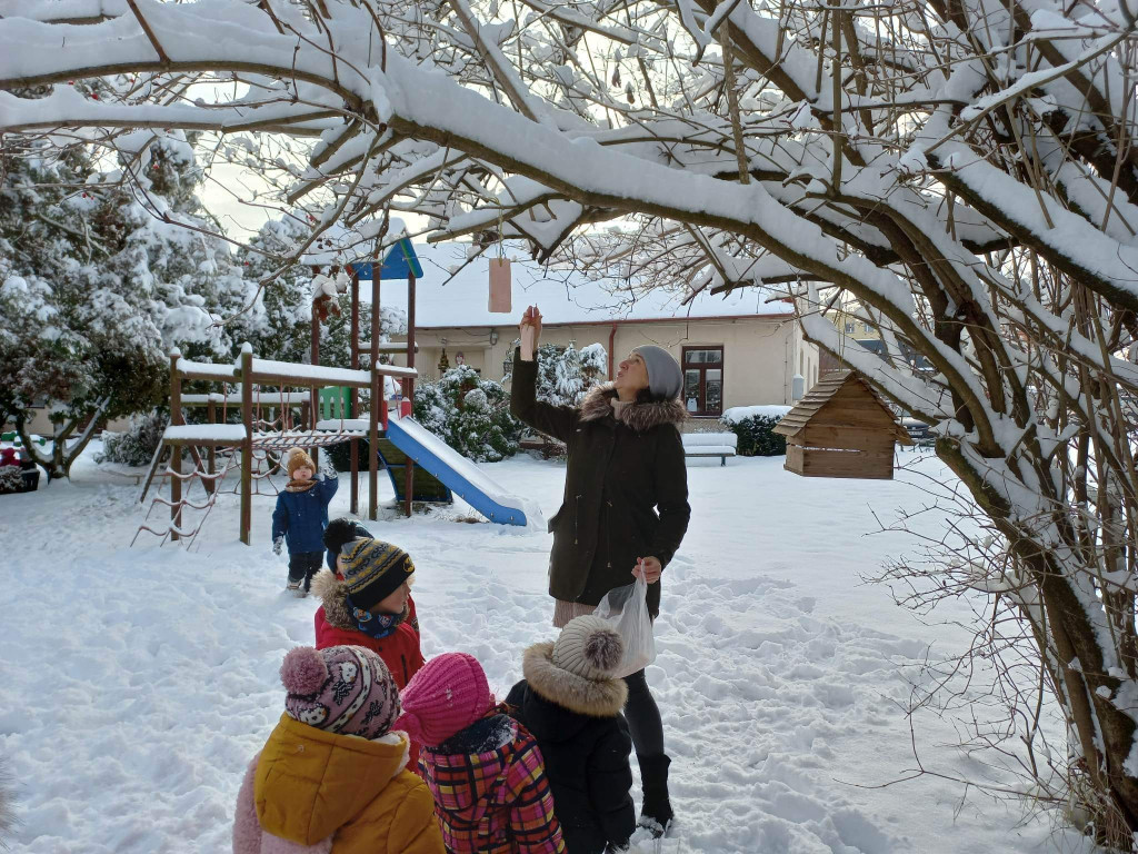 Zespół Przedszkolny nr 1 z darmowymi oddziałami! [wideo, zdjęcia]