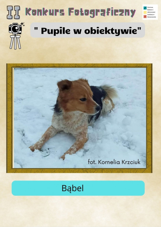 Pupile w obiektywie. CKiAL rozstrzygnęło konkurs. Zobaczcie prace!