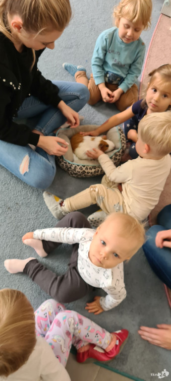 No i fajnie. Ta konecka bawialnia uczy i rozwija! [zdjęcia]