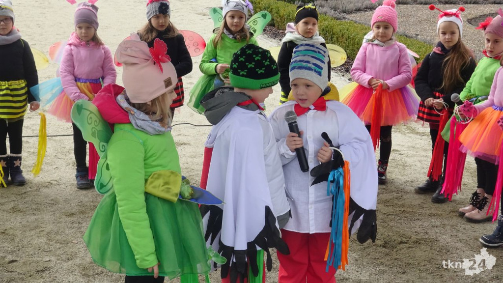 Wiosna, wiosna, ach to Ty! Przedszkolaki z Końskich przegoniły zimę! [wideo, zdjęcia]