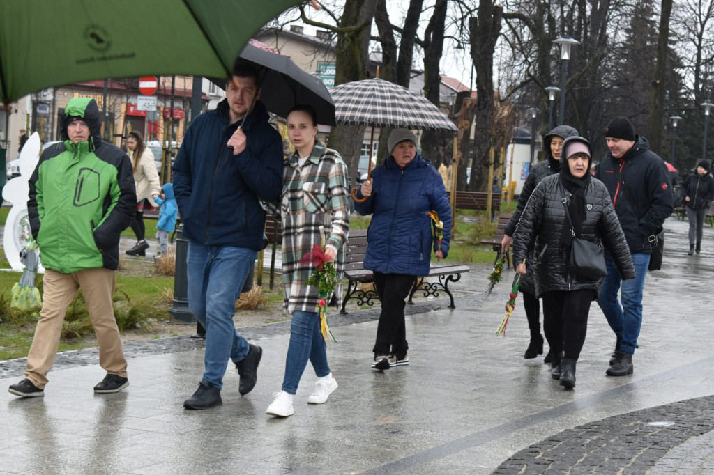 Końskie: Najpiękniejsza palma wybrana! [zdjęcia]