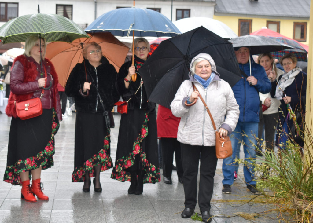 Końskie: Najpiękniejsza palma wybrana! [zdjęcia]