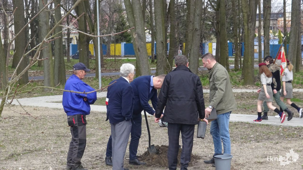 Dąb Pamięci `Robota` zasadzono w Końskich [wideo, zdjęcia]