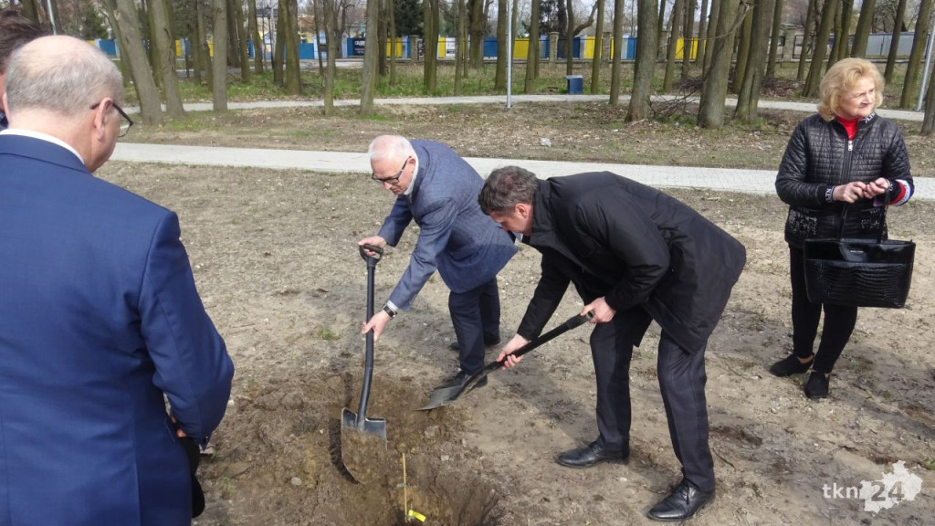 Dąb Pamięci `Robota` zasadzono w Końskich [wideo, zdjęcia]
