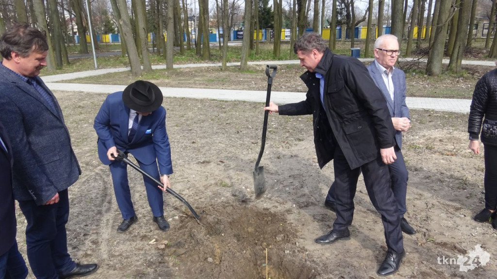 Dąb Pamięci `Robota` zasadzono w Końskich [wideo, zdjęcia]