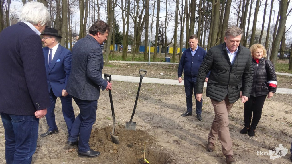 Dąb Pamięci `Robota` zasadzono w Końskich [wideo, zdjęcia]