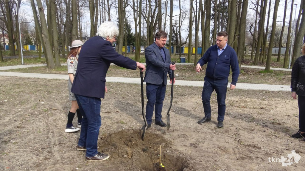 Dąb Pamięci `Robota` zasadzono w Końskich [wideo, zdjęcia]