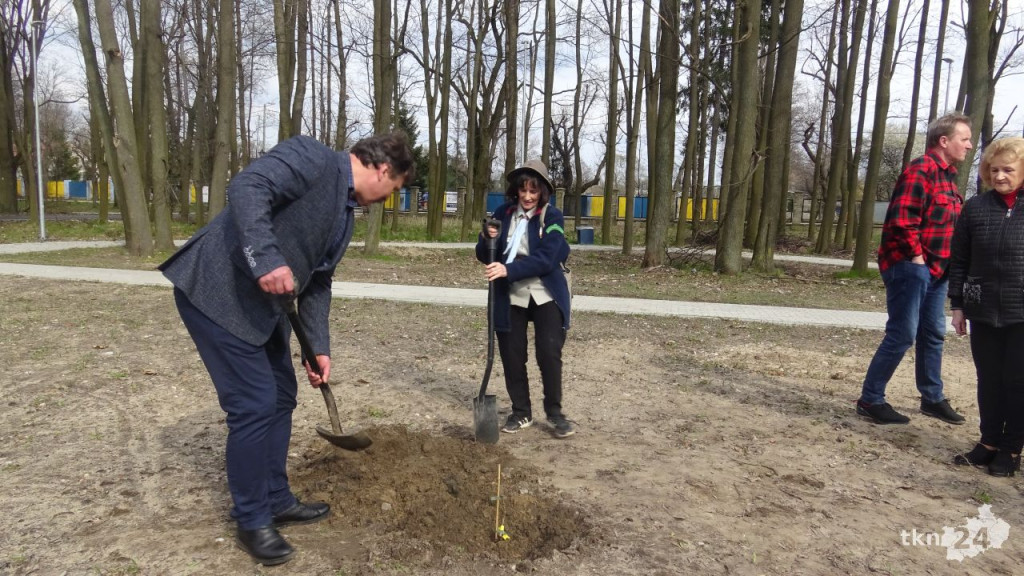 Dąb Pamięci `Robota` zasadzono w Końskich [wideo, zdjęcia]