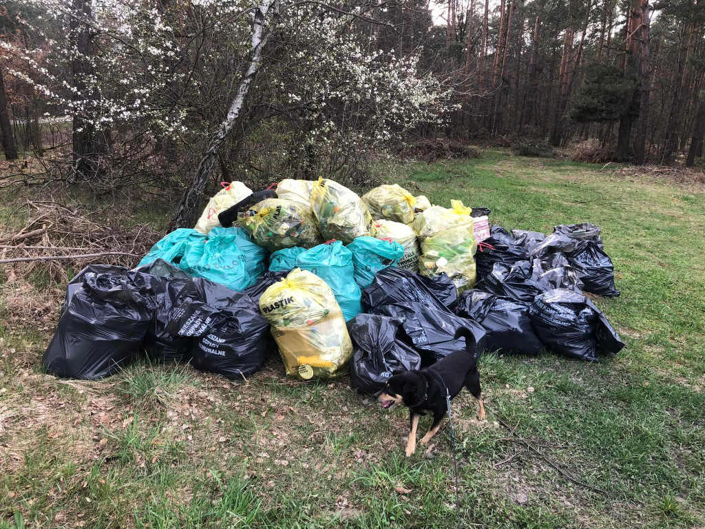 Ale Babki z Wincentowa uczyniły świat odrobinę lepszym! [zdjęcia]