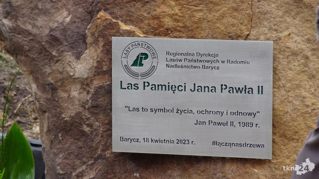 Zasadzili las Jana Pawła II tuż za Końskimi [wideo, zdjęcia]