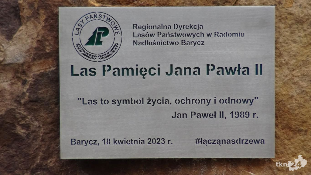 Zasadzili las Jana Pawła II tuż za Końskimi [wideo, zdjęcia]