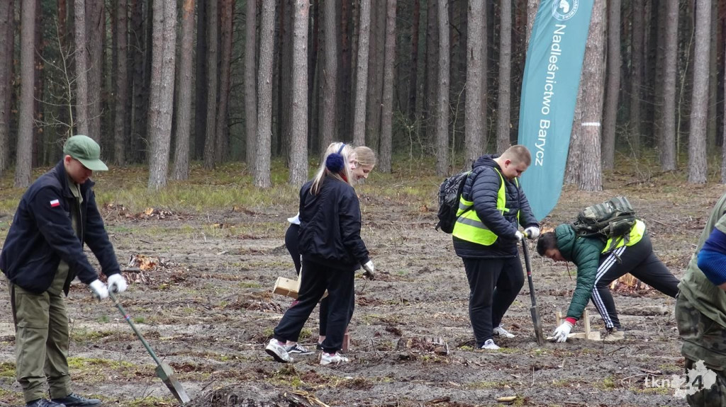 Zasadzili las Jana Pawła II tuż za Końskimi [wideo, zdjęcia]