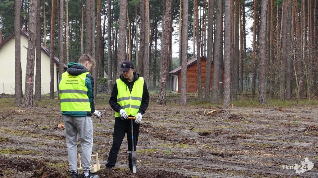 Zasadzili las Jana Pawła II tuż za Końskimi [wideo, zdjęcia]